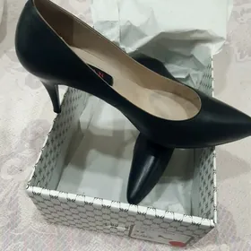 Lodocka hakyky deri Tergan