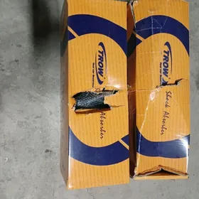 Sintrañ zapcastlary gelendir