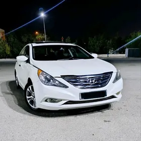 Hyundai Sonata 2011
