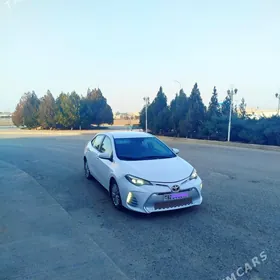 Toyota Corolla 2017