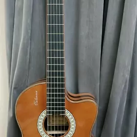 Gitara Valencia Гитара