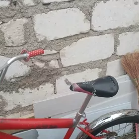 бравир спорт