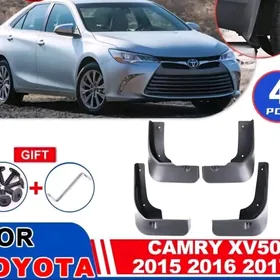 AZIDA CAMRY BRAZGAWIK RODNOI