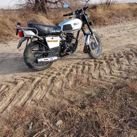 Fekon FK200-14G 2023