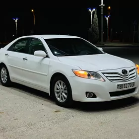 Toyota Camry 2010