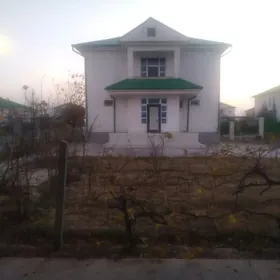 1NJI TAZE ZAMAN KOTTEŹ 12SOTOK