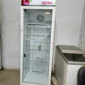 satlyk haladilnikler