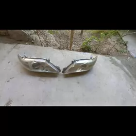 okuz on fara haliji 2010