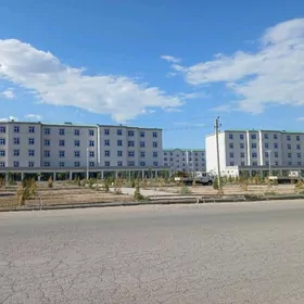 ️ Satlyk elitka jaý 