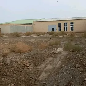 Jyl pasolluk 22-domuň arkasy