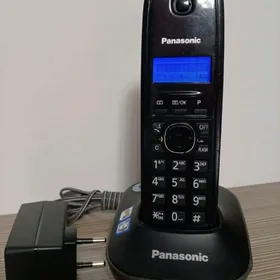 Panasonic