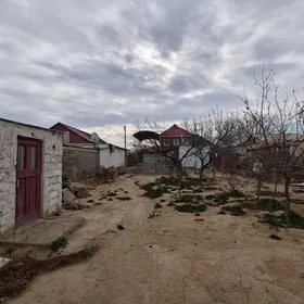 Anew 6 sot Аннау 6 сот