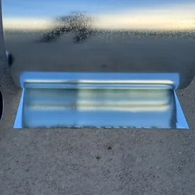 Howalandyrma Asinkowny gayi