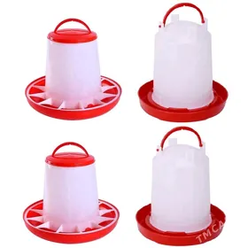 öý guşlaryna iým gap