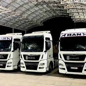 Man TGX 2020