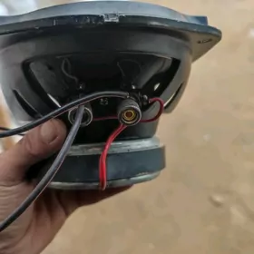 kalonka garpiz nikil