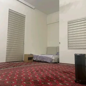 swetski bez hzayn alnan oglona