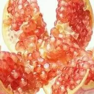 bidäne nar гранаты бескосточко