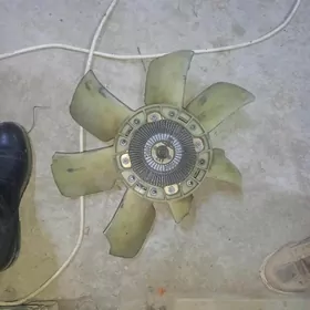 mark motor karopka hemme zady