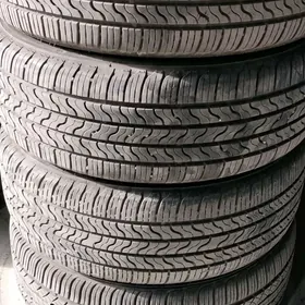 Freistone 205 55 16 24Y