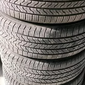 205 55 16 Freistone 24Ý