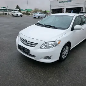 Toyota Corolla 2010