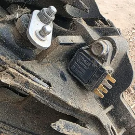 lzaslonka elantra 2020