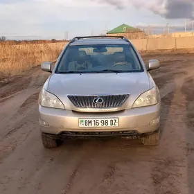 Lexus RX 330 2004