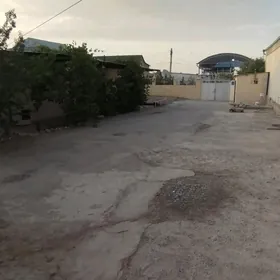 ️Anew 6 sotak wermiyanka️