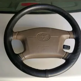 Руль лесичка, бабочка