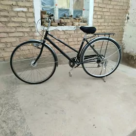 welosiped skorly 27 lik