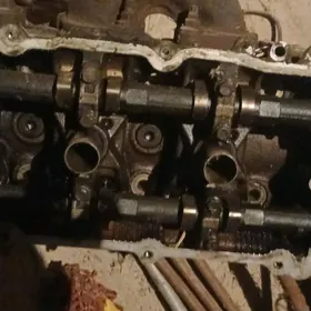 3 lik maksima galofgo kamputir