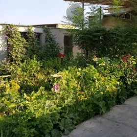 Сатлык дача