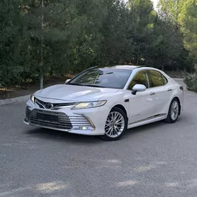 Toyota Camry 2019
