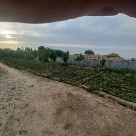 хусусы ферма