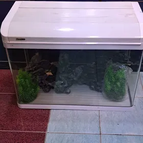 заводские аквариумы