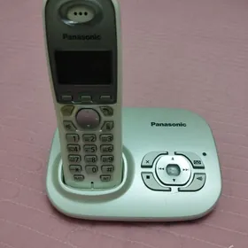 panasonic
