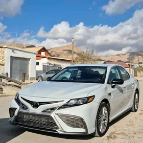 Toyota Camry 2022