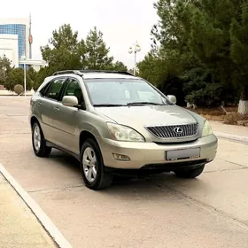 Lexus RX 330 2004