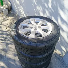 2010=11. kemry disge pakrişga