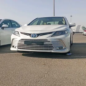 Toyota Camry 2024
