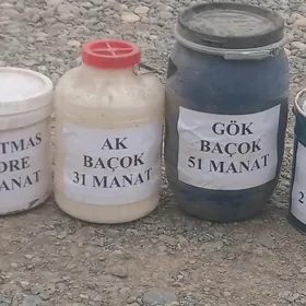 хожалык харытлары