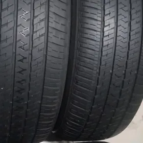 Byrşdon argynal 235 55 20