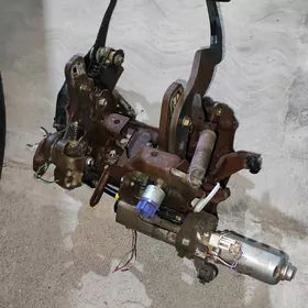 duty camryn tokly pedaly