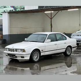 BMW 525 1991