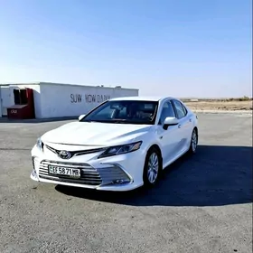 Toyota Camry 2020