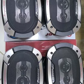 Pioneer nikil 300w 650w