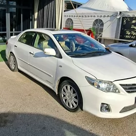 WODITEL ВОДИТЕЛЬ