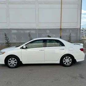 Toyota Corolla 2010