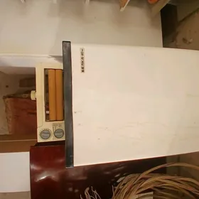 СССР Стеральная машина БЕЛКА